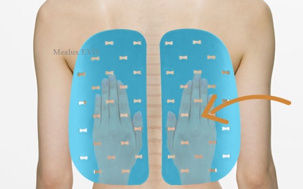 Комплект парта и стульчик Mealux EVO-05 (с лампой)